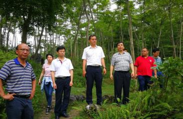 公司党委肖凌书记带队到马山县龙琴村开展扶贫调研工作