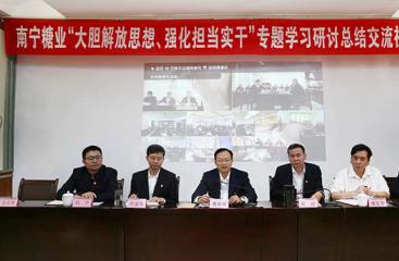 公司召开“大胆解放思想、强化担当实干”专题学习研讨总结交流视频会