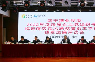 南宁糖业召开2022年度所属公司党组织书记推进落实党风廉政建设主体责任述责述廉评议会