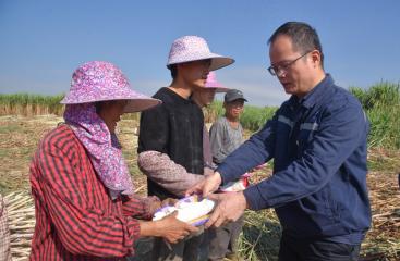 石榴花开 籽籽连心 | 蔗乡共话甜蜜民族情