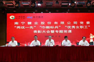 千帆竞发 | 先锋领航，激扬红色力量