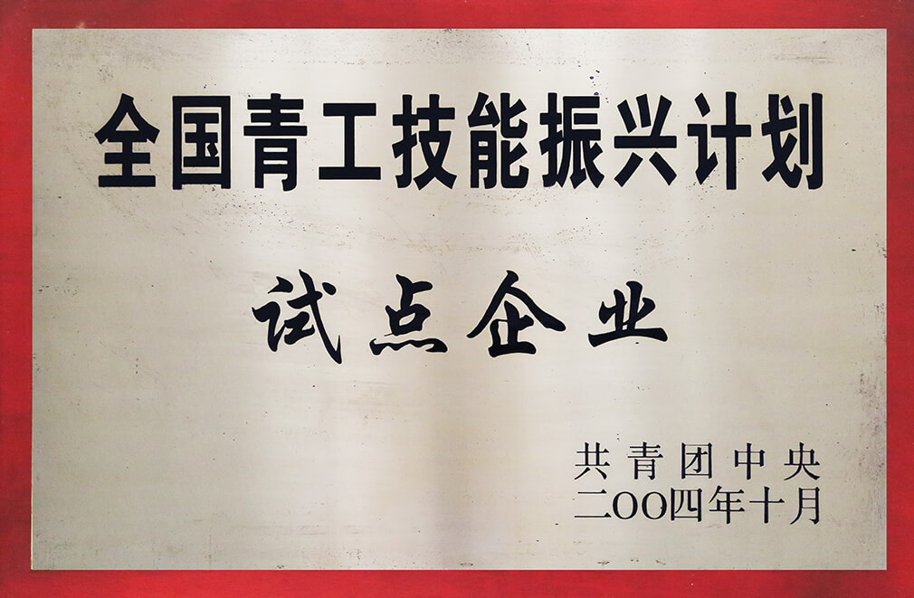 全国青工技能振兴计划试点企业