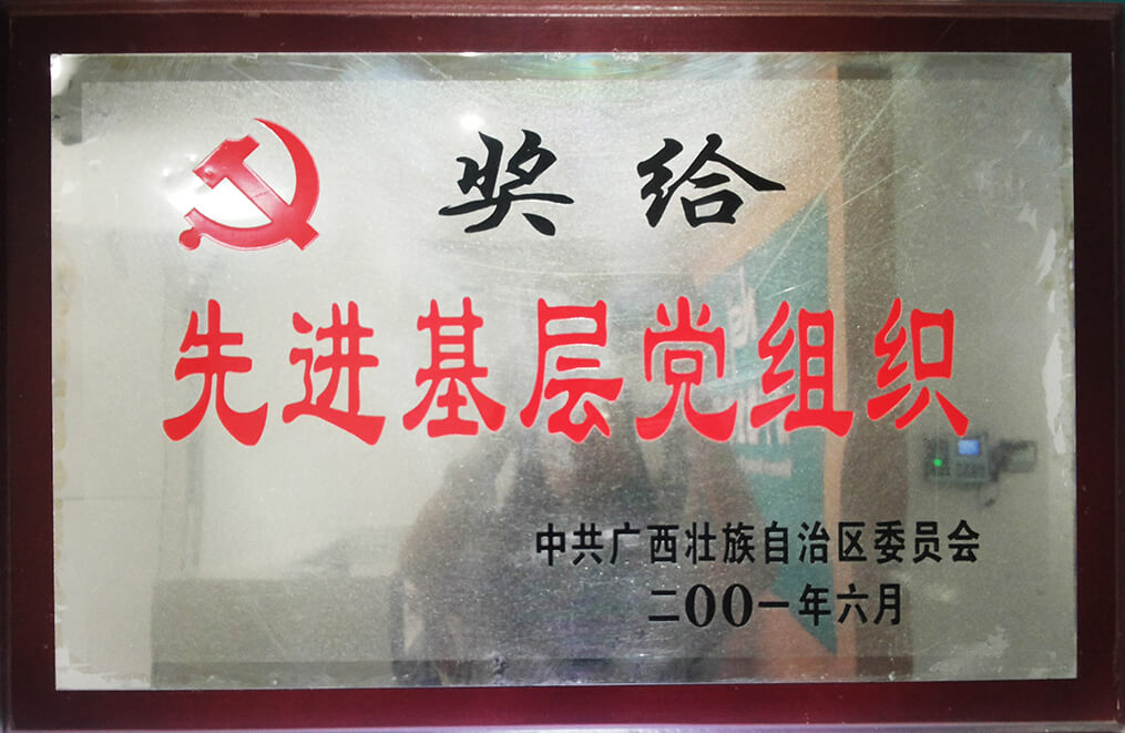 广西先进基层党组织