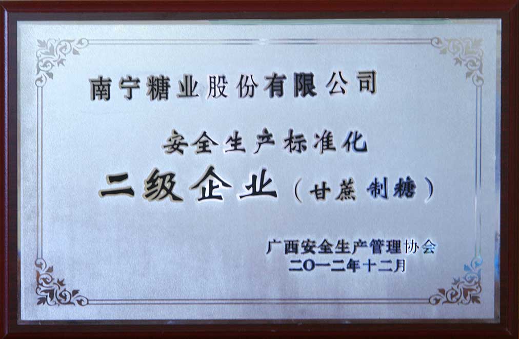安全生产标准化二级企业