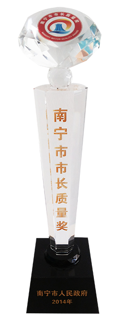 南宁市首届“市长质量奖