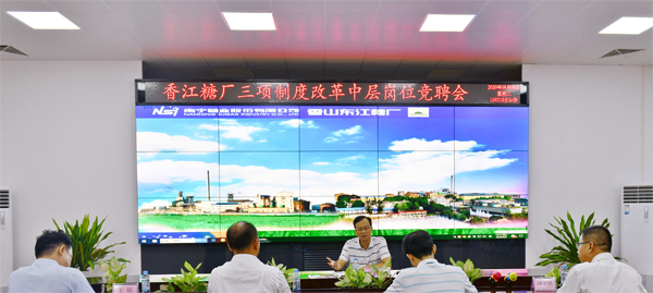 1632369136317428.jpg 9月8日上午,公司党委书记、董事长莫菲城到香山东江糖厂就当前三项制度改革工作的推进和农务工作的开展进行调研。副本.jpg