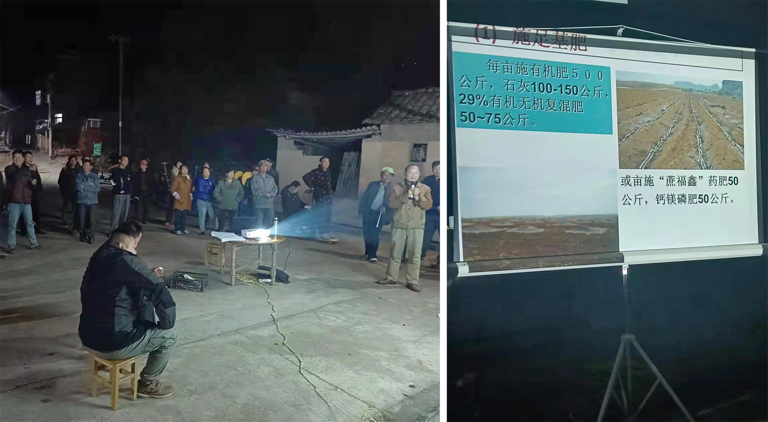 糖厂农务员深入蔗区宣传扶持政策（苏义样 摄）.jpg