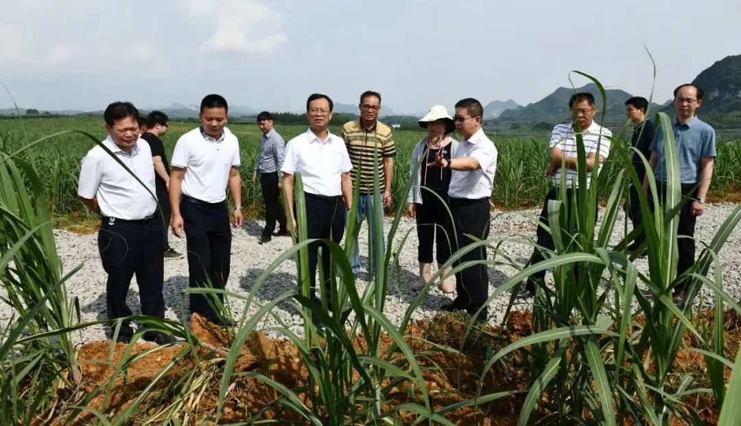 莫菲城在“智慧农业”示范基地听取潘文新介绍基地建设情况.jpg