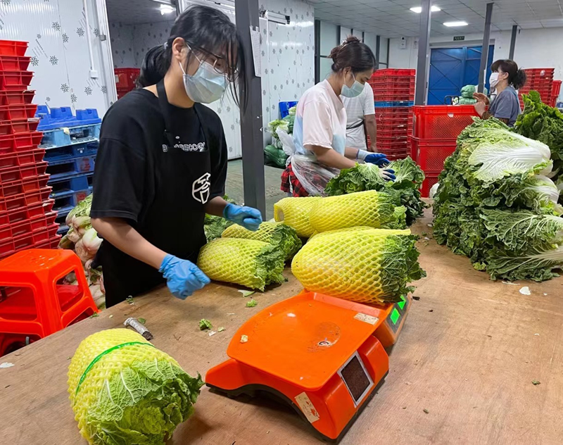 一线工人加班加点进行分拣、装包2.png