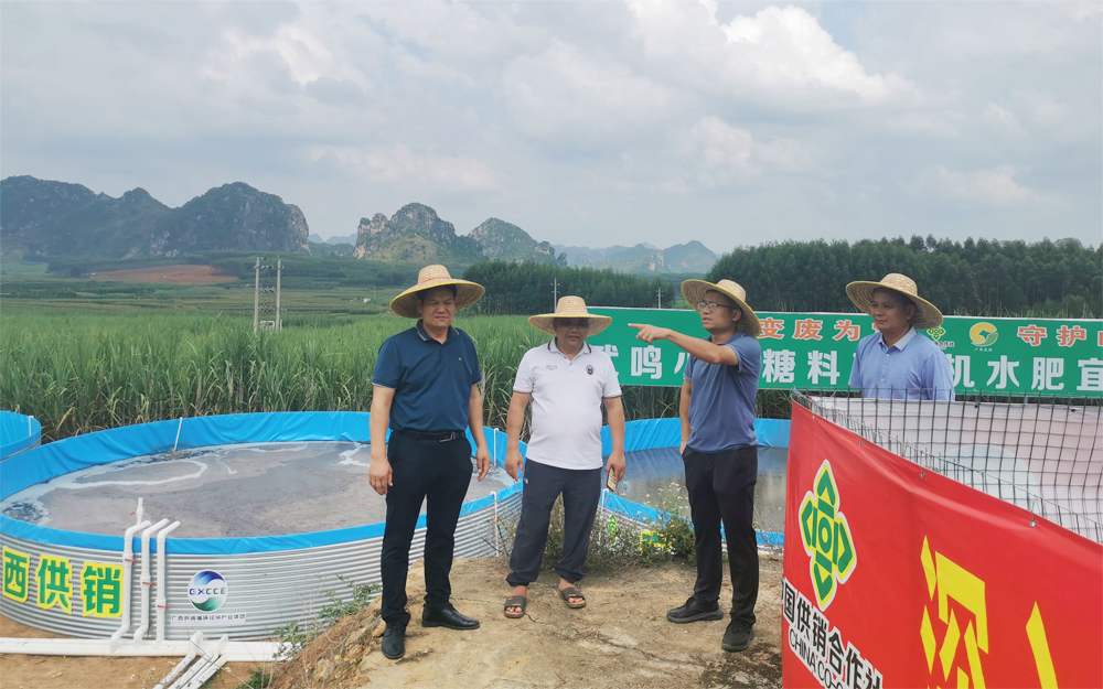 刘宁在武鸣区甘圩基地对“第一车间”发展工作进行调研.jpg