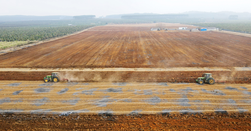 东江公司蔗区（东盟开发区定西基地），驾驶犁耙机翻种土地，为春种做准备。1.jpg