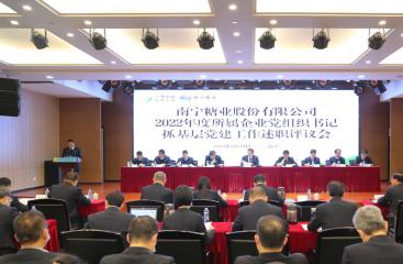 南宁糖业召开2022年度所属企业党组织书记抓基层党建工作述职评议会
