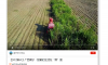 【乡村振兴】广西南宁：甜蜜的生活在“蔗”里