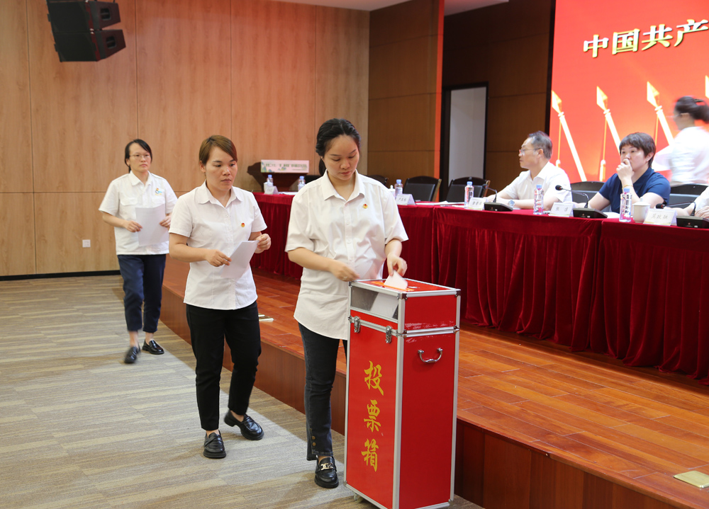 大会采用无记名投票的方式选举产生了共青团南宁糖业股份有限公司第三届委员会团委委员，卢艳丽同志当选团委书记.jpg