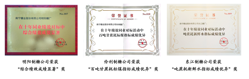 获奖汇总.png