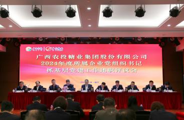 广农糖业党委召开2024年度所属企业党组织书记抓基层党建工作述职评议会
