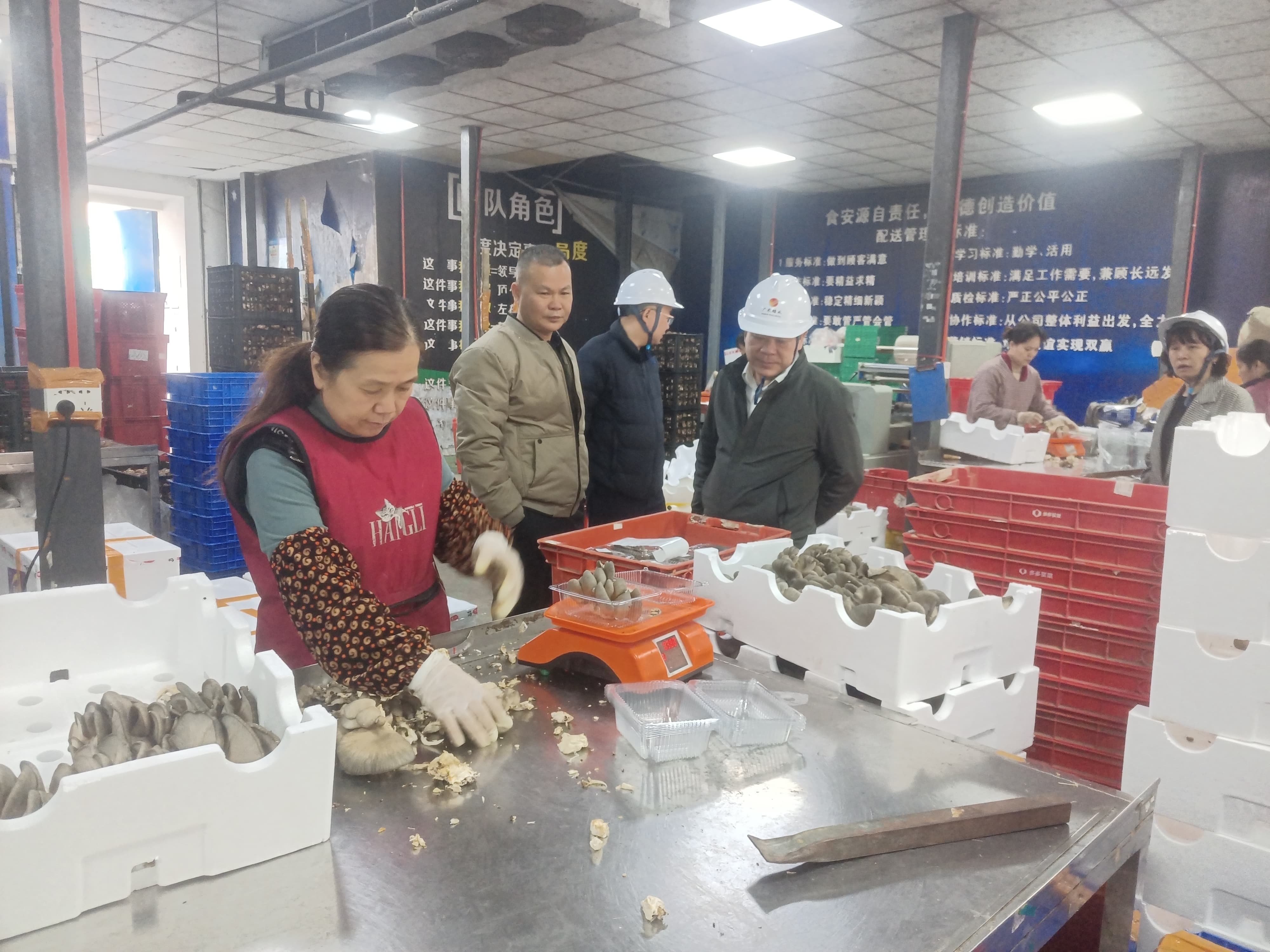 滕正朋在增润开展岁末年初安全防范大检查（图9：陆学赛）.jpg
