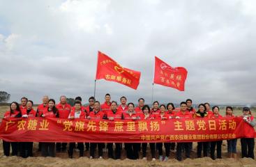 先锋领航丨细雨润新蔗 垄上党旗映春色