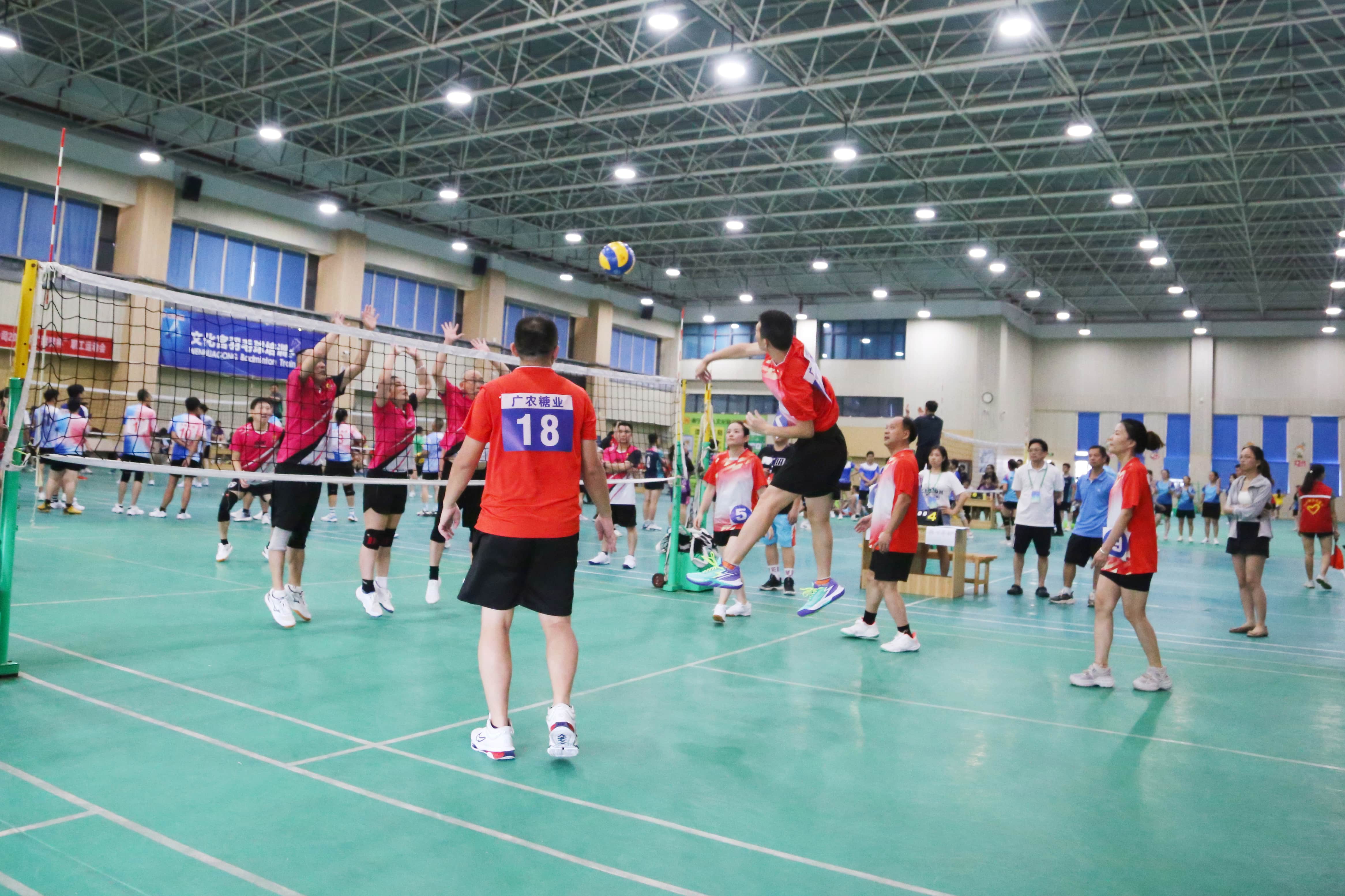 樊恬恬摄 (2).JPG