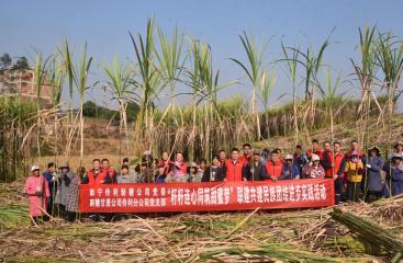 【民族团结心连心】伶利制糖公司：籽籽同心酿甜蜜 产业赋能谱新篇