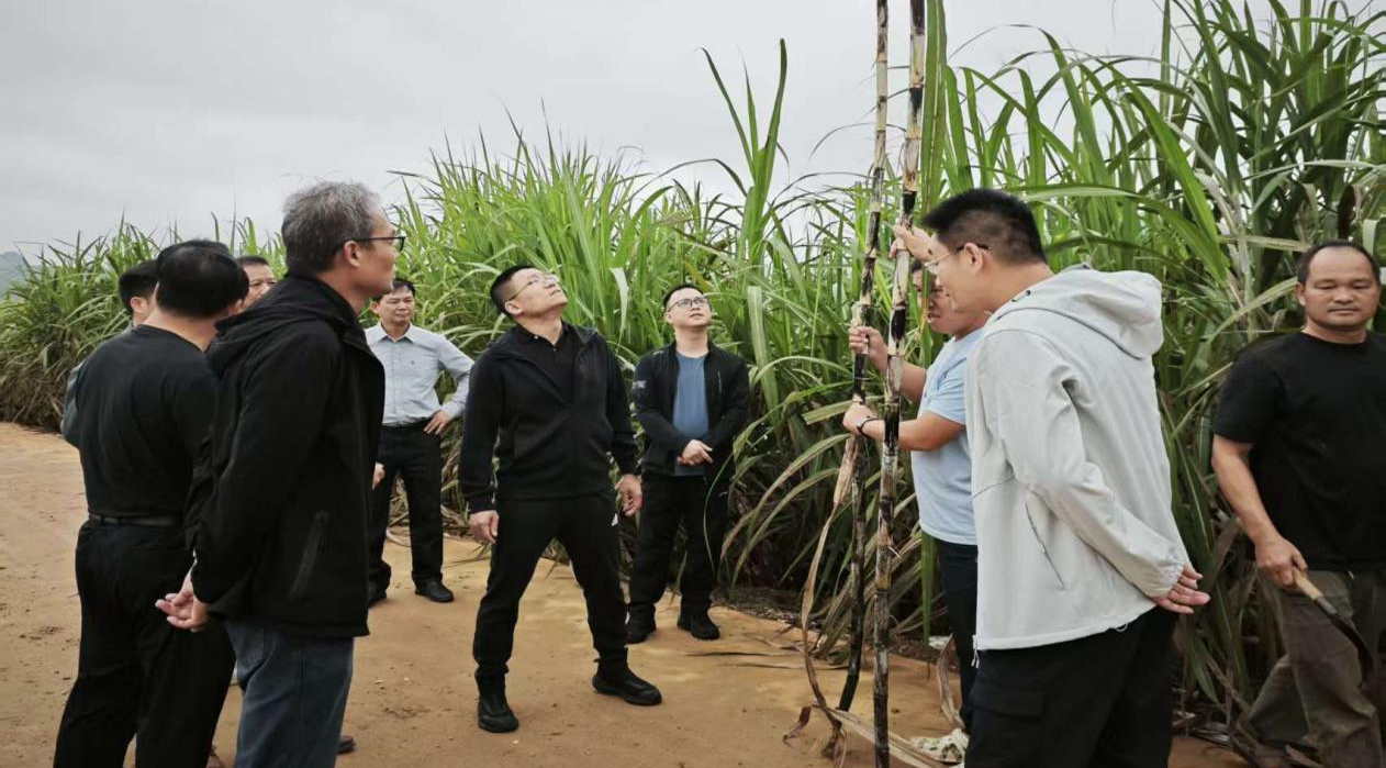 修-何汝感摄 (2).jpg