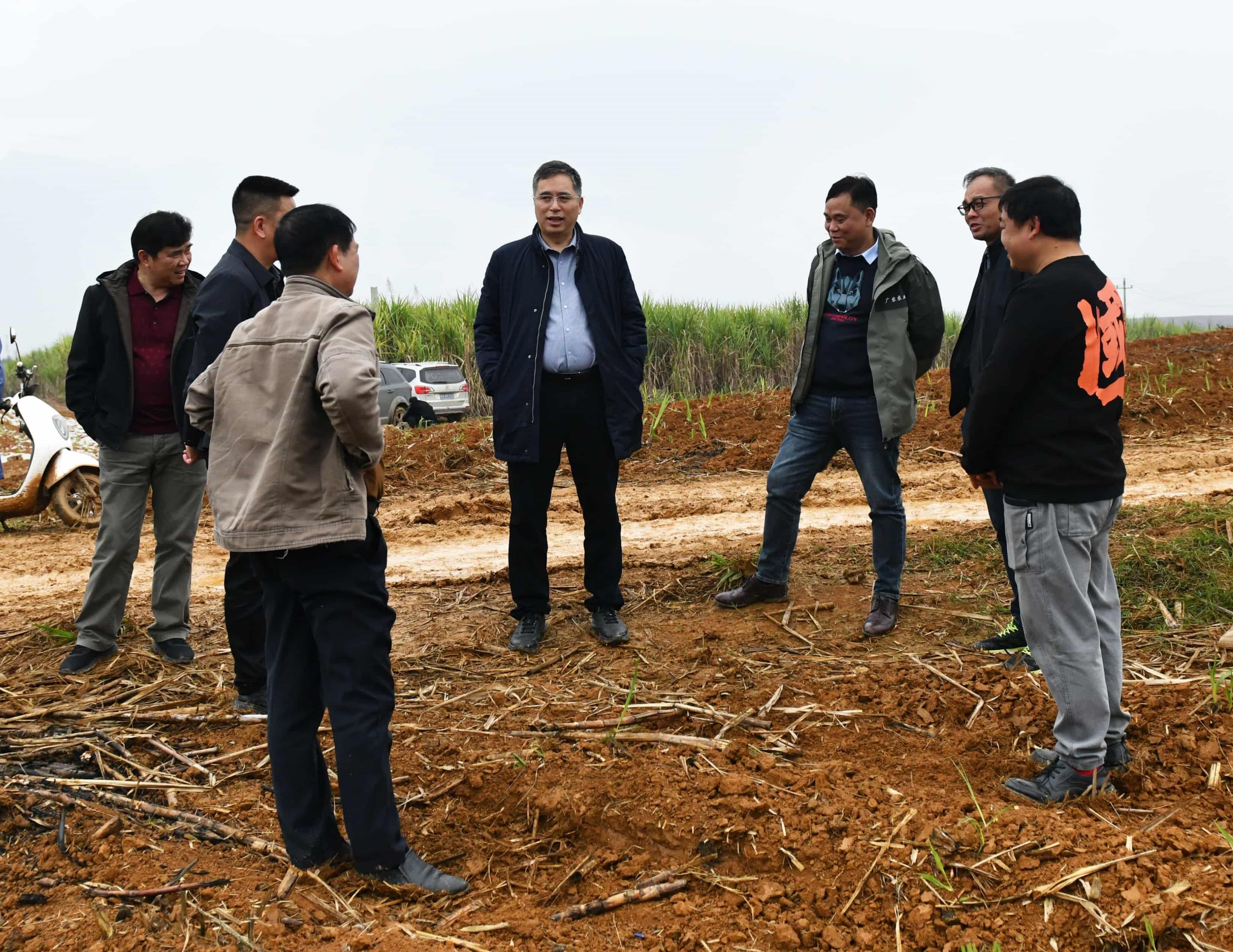 罗应平到武鸣蔗区调研 唐顺 摄 (1) (1) (1).JPG