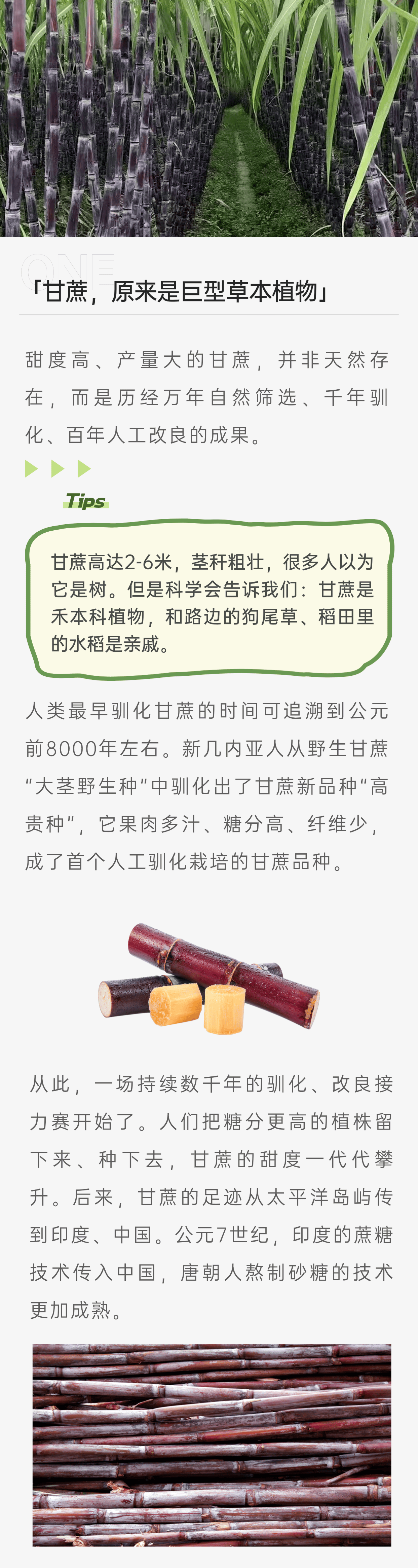 1_副本.png