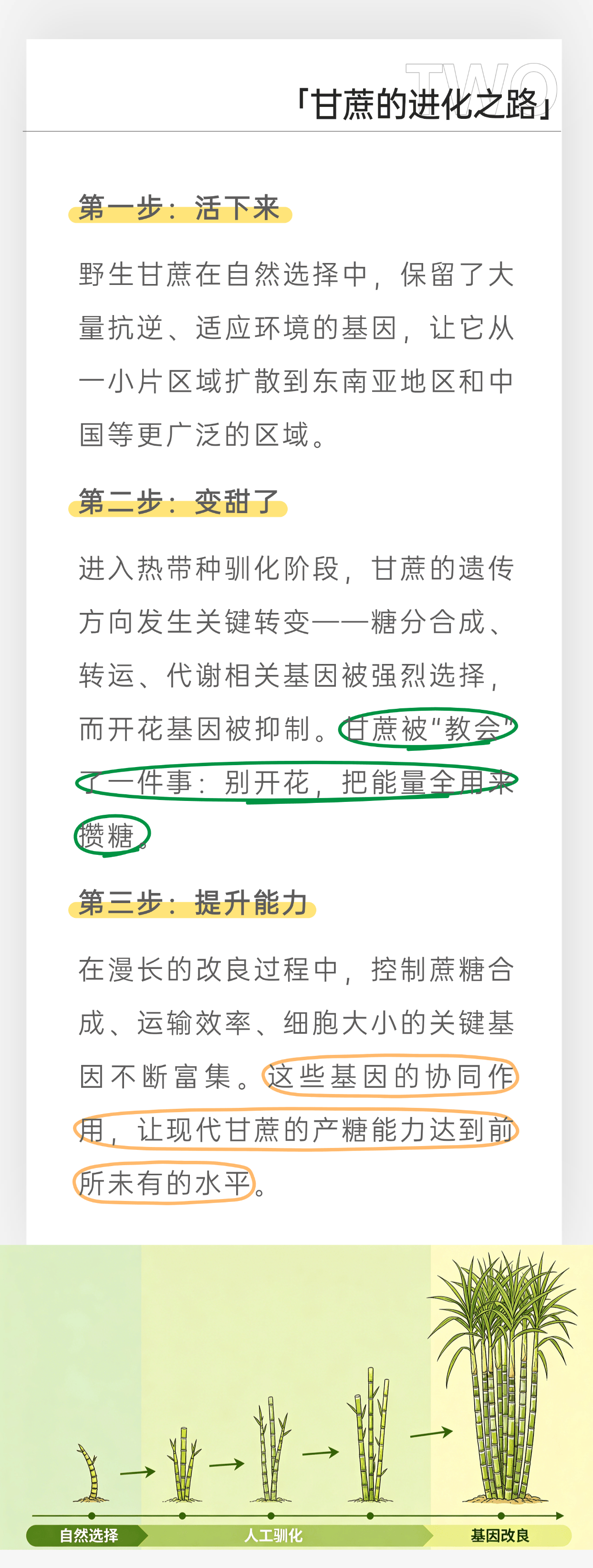 2_副本.png